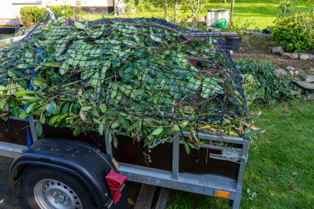 Best Yard Waste Removal  in Aspermont, TX